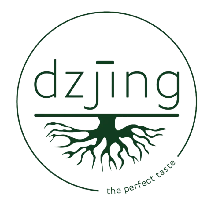 Logo Dzjing